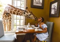 Quenia thesafaricollection giraffemanor girafa cafedamanha