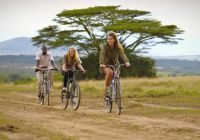Quenia thesafaricollection solio bicicleta