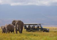 Skysafari quenia elewana tortilis camp amboseli
