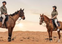 Ritz Carlton Al Wadi, experiência cavalgada no deserto