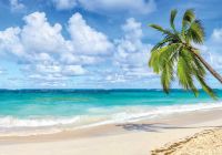 Punta cana banner