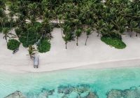 Punta cana praia vista aerea