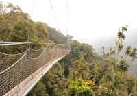Ruanda ponte