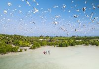 Alphonse island blue safaris caminhada na ilha