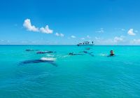 Alphonse island blue safaris snorkelling antony grote