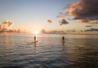 Alphonse island blue safaris sup