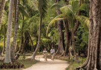 bicicleta Four Seasons Seychelles at Desroches Island