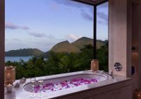 Raffles seychelles ocean view pool villa banheira