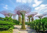 Singapura jardins da ba a dia