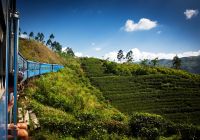 Atividades passeios trem Nuwara Eliya, Kandy