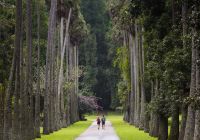 Jardim Botânico Peradeniya, Kandy, Sri Lanka