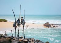 pescadores do sri lanka