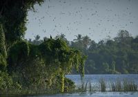 Sri lanka amanwella natureza