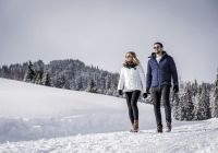 Gstaad casal neve