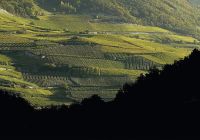 Guarda golf hotel e residences regiao vinhos