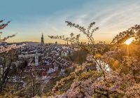 Suica berna cidade pordosol