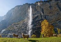 Suica lauterbrunnen