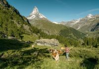 Switzerland tourism jan geerk zermatt riffelalp