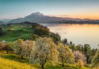 Switzerland tourism vista do lago lucerna andreas gerth