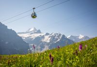 Teleferico jungfrau verao