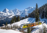 Trem jungfrau