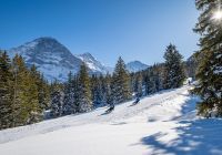 Treno na neve vista jungfrau