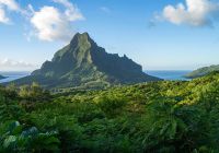 Tahiti moorea montanha