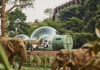 Tailandia anantara goldentriagleelephantcamp guestroom bolha elefante