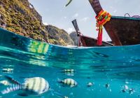 Banner phi phi island tailandia
