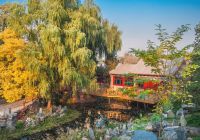 Beijing  - China