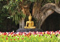 Templo Chiang Mai