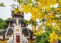 Wat chedi luang