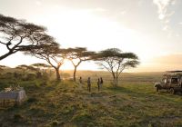 Bebidas ao por-do-sol no Serengeti, Tanzânia
