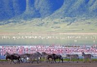 Cratera Ngorongoro