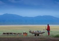 Drink stop andbeyond lake manyara