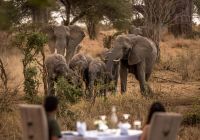 Experiência Gastronômica - Tarangire Nimali Camp