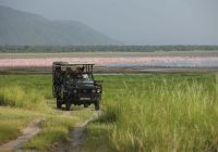 Game drive andbeyond lake manyara