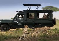 Game drive serengeti