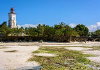 Pacote Zanzibar, Praia, Tanzânia Turismo