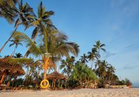 Praia Zanzibar Tanzânia
