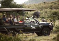 Tanzania andbeyond kleins camp game drive elefante