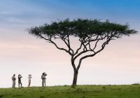 Tanzania andbeyond kleins camp walking safari