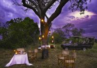 Tanzania nimali mara picnic