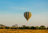 Tanzania nimali serengeti balao