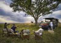 Tanzania nimali serengeti picnic