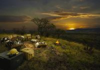 Tanzania nimali serengeti pordosol