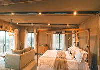 Tanzania nimali serengeti suite