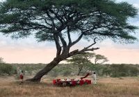 Tanzania serengeti under canvas almoco savana mesa