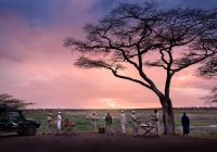 Tanzania serengeti under canvas sundowner