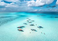 Tanzania zanzibar mnemba island barcos